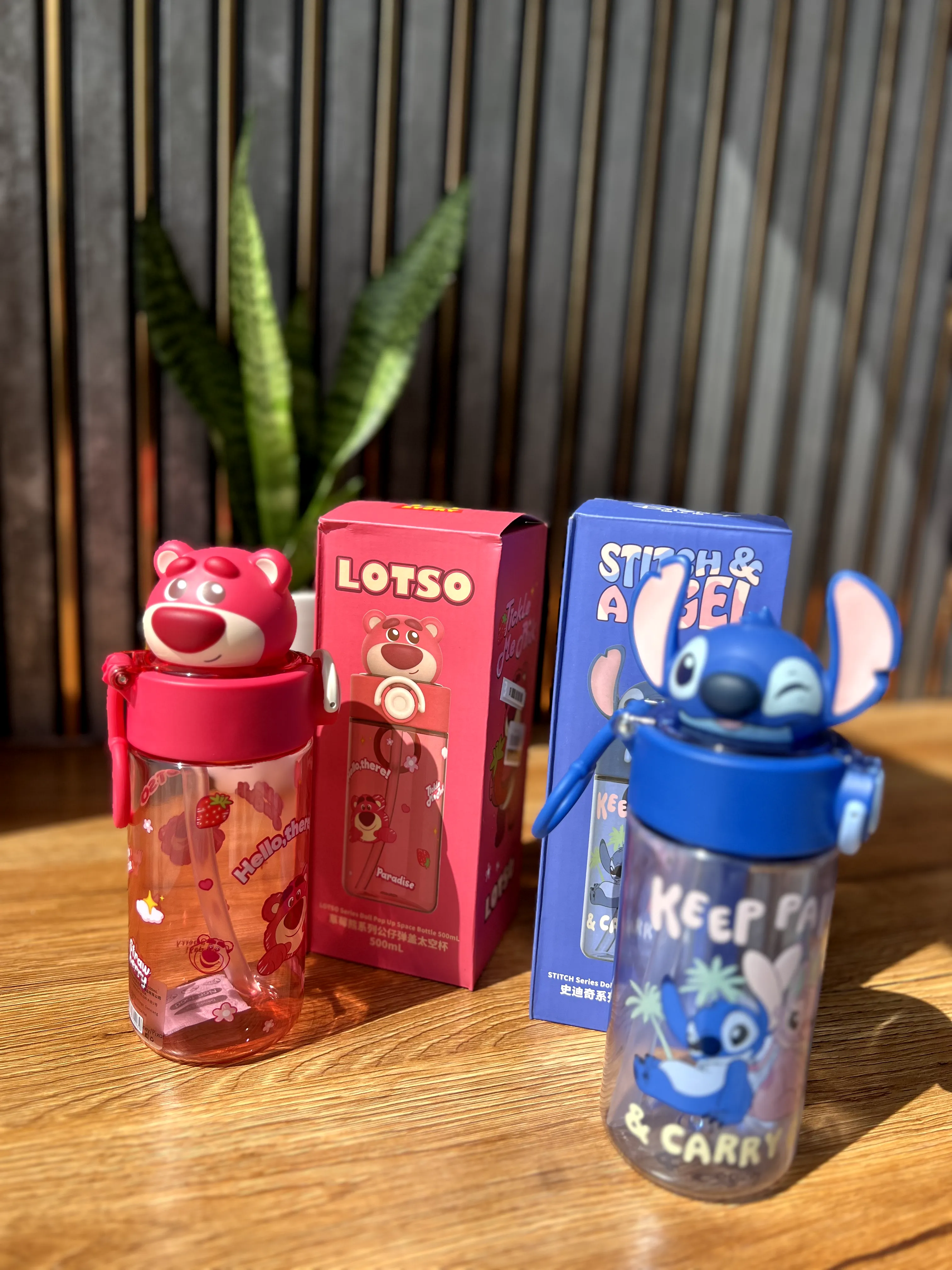 قمقمه دیزنی